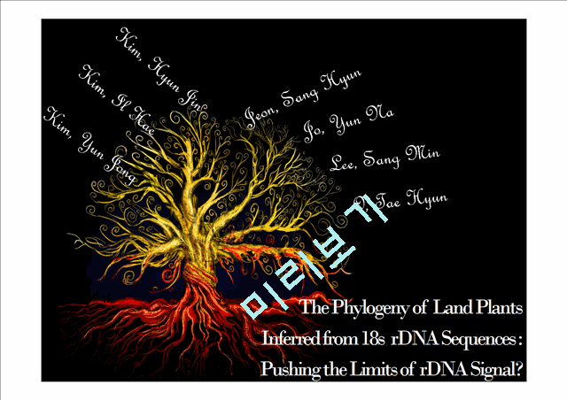 The Phylogeny of Land Plants Inferred from 18s  rDNA Sequences,Pushing the Limits of rDNA Signal   (1 )
